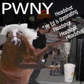 pwny