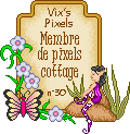 photo certifmembreLVvixpixels.gif
