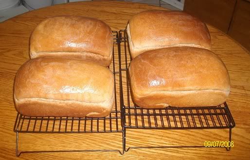 Bread trouble updated - Homesteading Questions