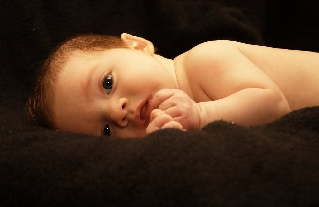 IMAGE: http://i3.photobucket.com/albums/y89/crzy4reefs/LenaOnBlack.jpg