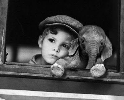 Niño y elefante