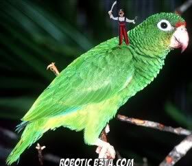 Photo Sharing and Video Hosting at Photobucket