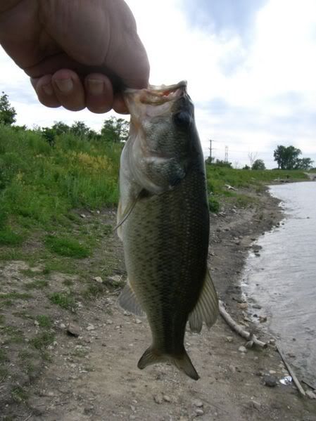 Basstoday.jpg picture by lipripper