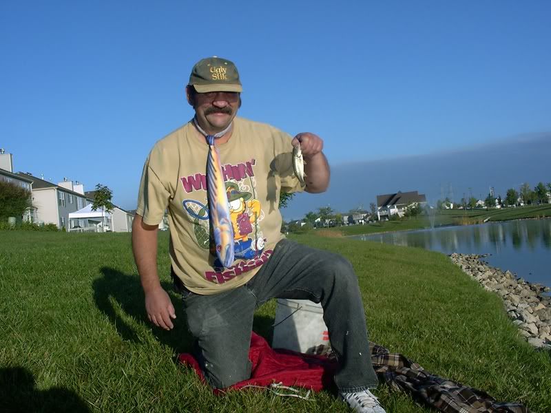 tiedinkbass.jpg picture by lipripper