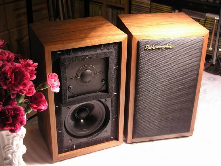 richard allan monitor 80