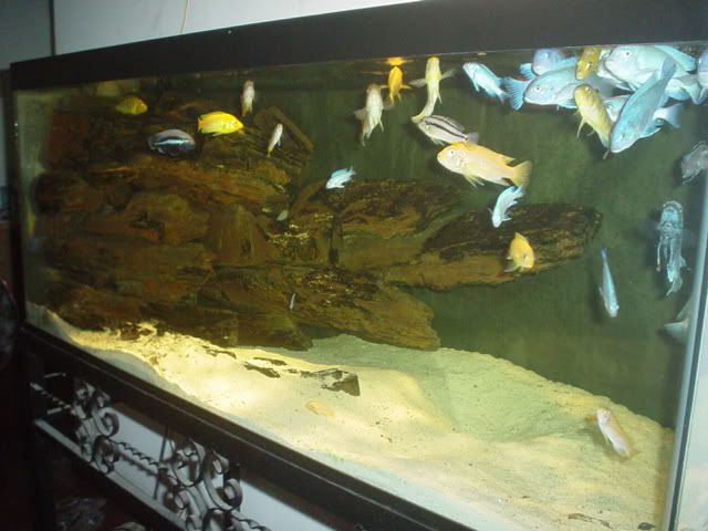 DSC04579.jpg