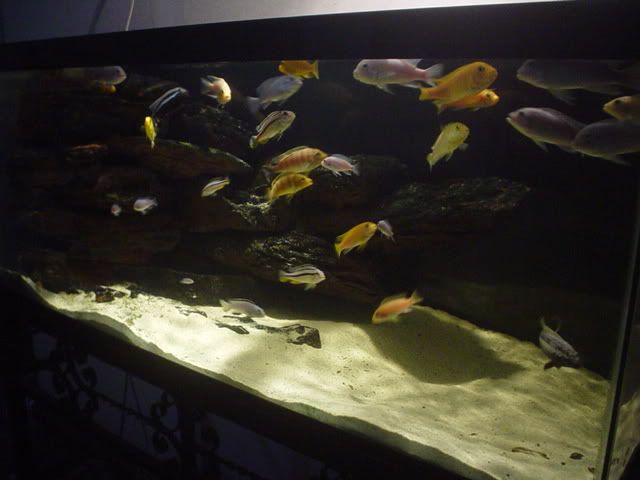 DSC04583.jpg