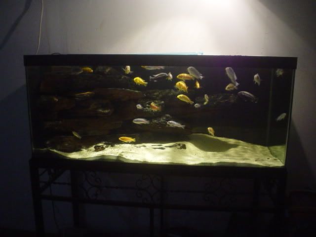 DSC04586.jpg