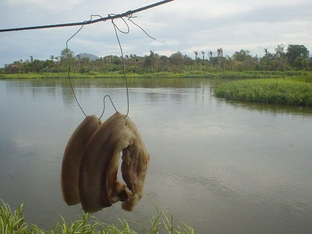 DSC04748.jpg