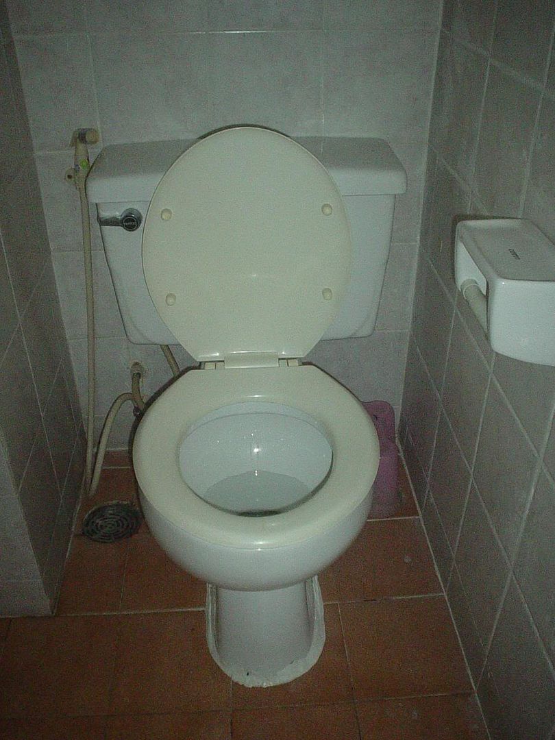 MyToilet.jpg