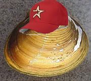 my_clam.jpg