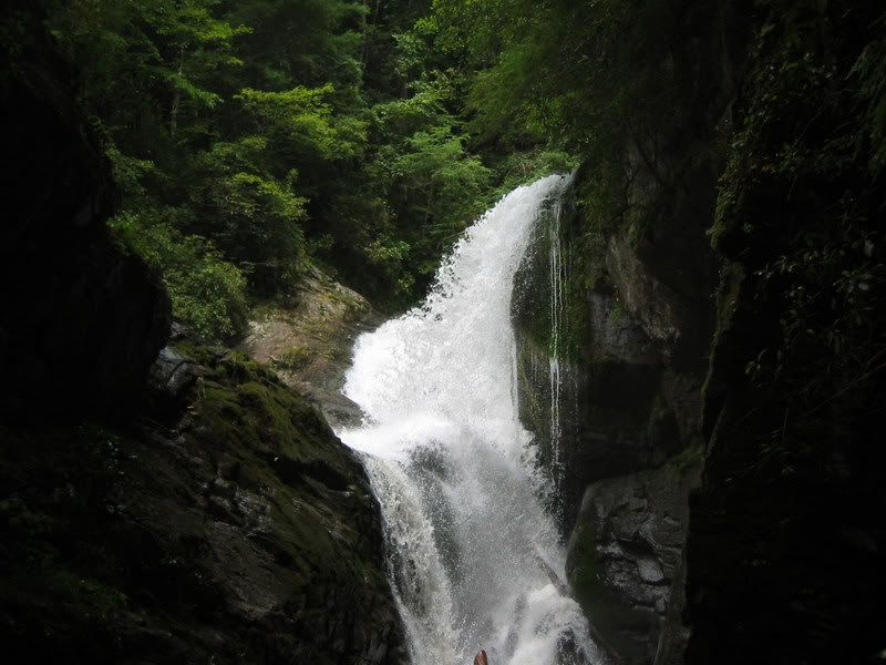 101-0120_IMG.jpg