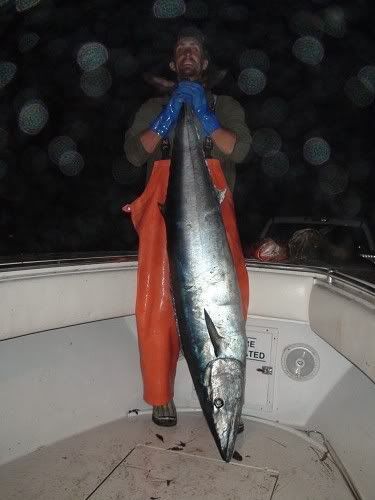 102LBWAHOOII.jpg