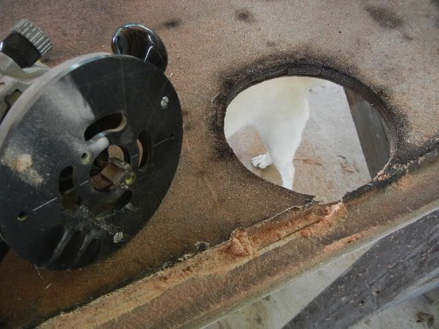 DSCN1105.jpg