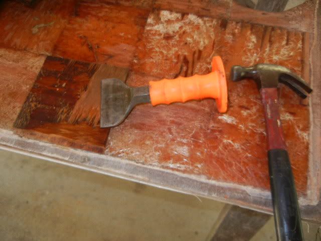 DSCN1111.jpg