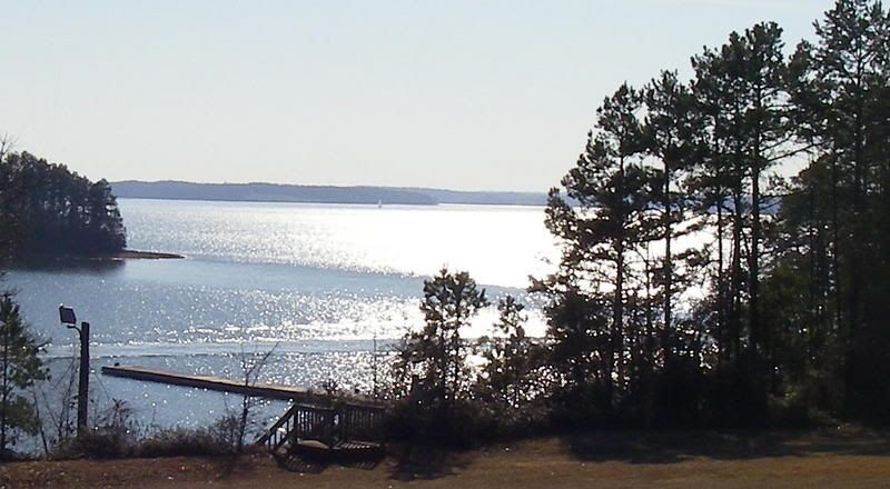 IMGP0137.jpg