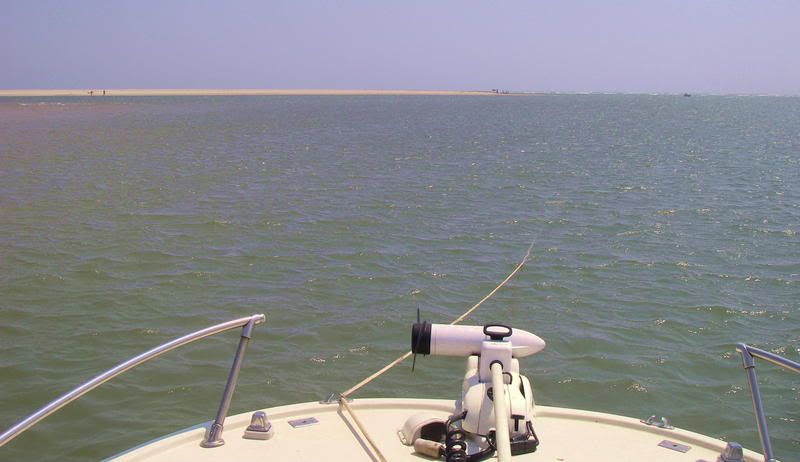 IMGP09072.jpg