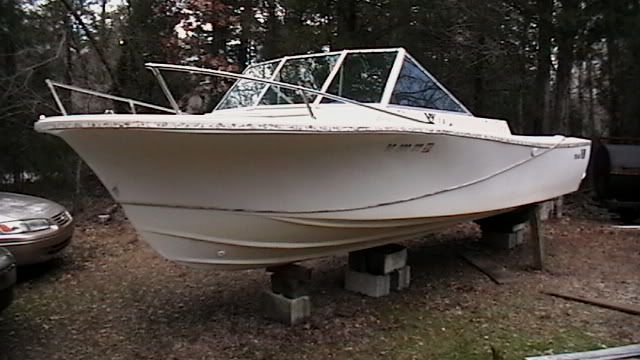 MiscPics2009197.jpg
