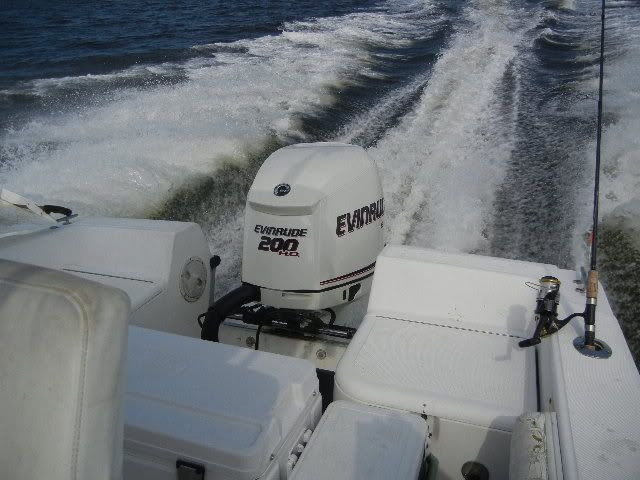 NJ71106.jpg