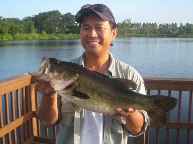 Bass.jpg