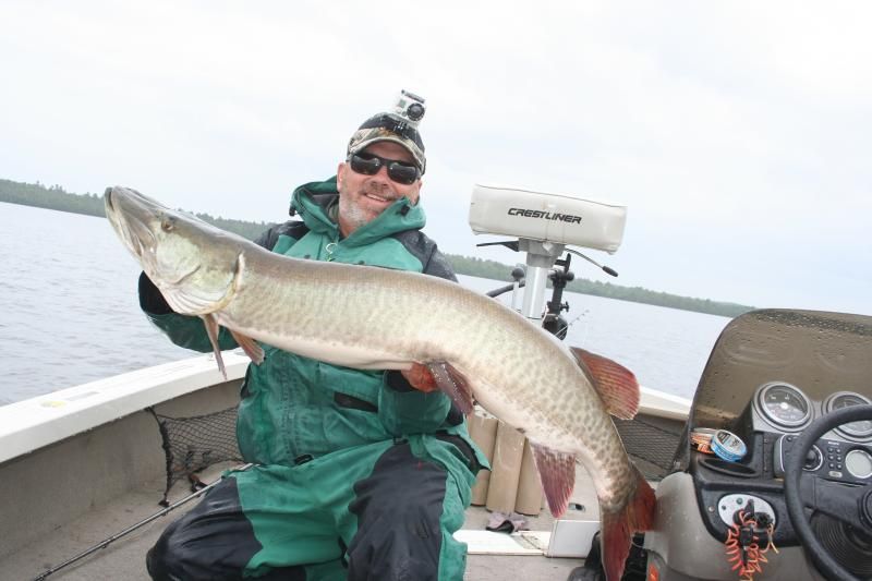 51 1/2 inch muskie Vermilion 2013 photo 51inchmuskie08-07-2013003_zpsc30032b2.jpg