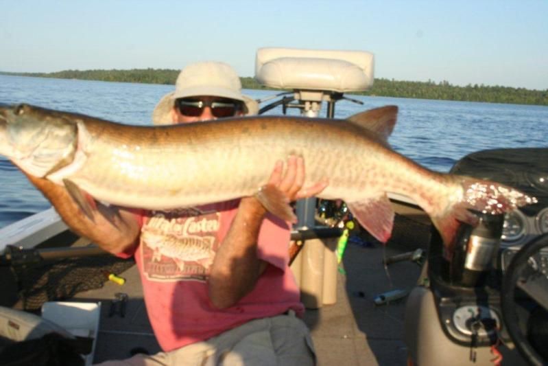 50 inch muskie 7-3-12 photo minnesota2012747.jpg