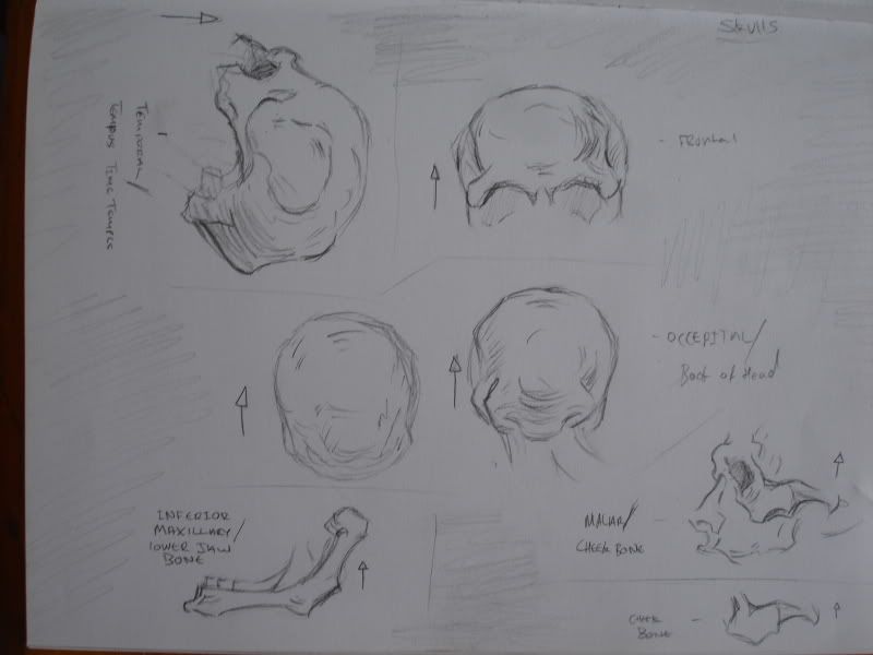 sketch book a la crumpy sketch book a la crumpy