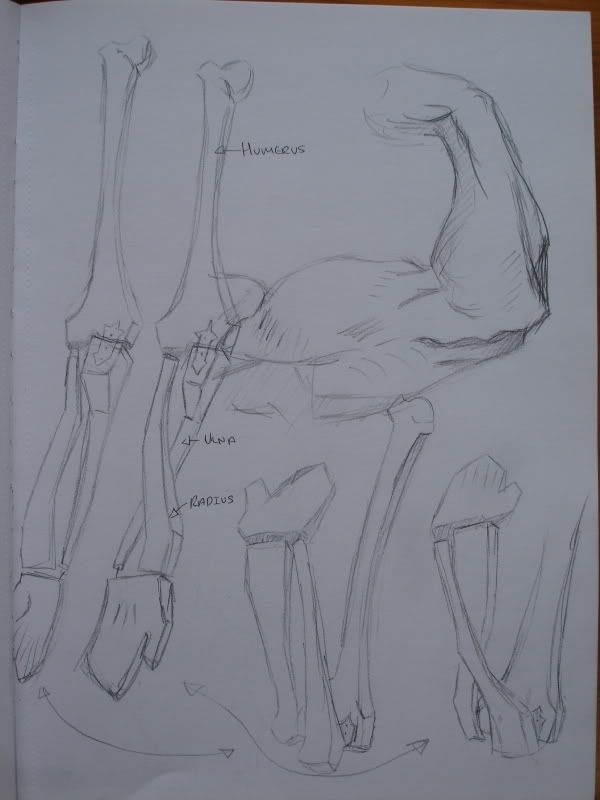 sketch book a la crumpy sketch book a la crumpy