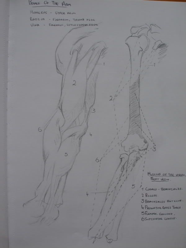 sketch book a la crumpy sketch book a la crumpy