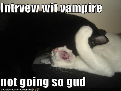 vampirecat.jpg