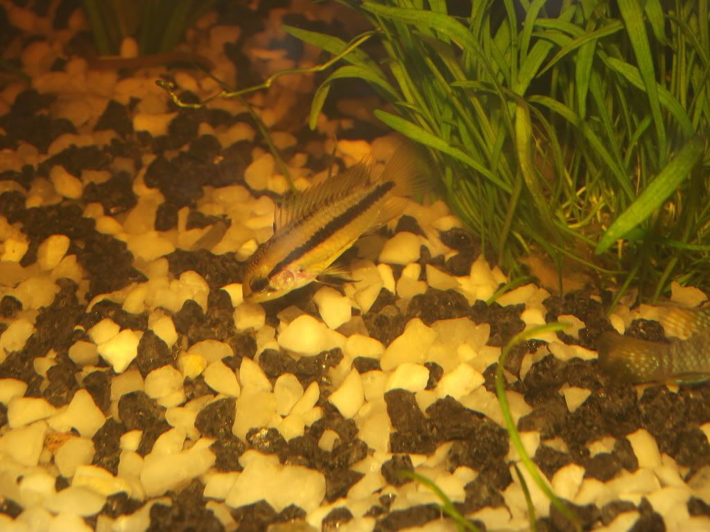 DSCF6435.jpg