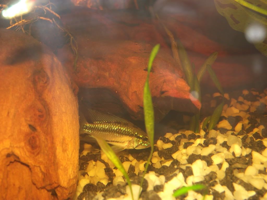 DSCF6468.jpg