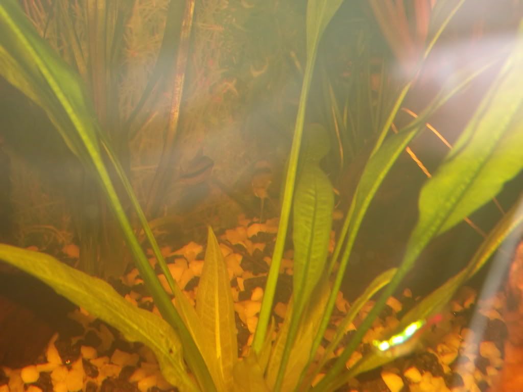 DSCF6479.jpg