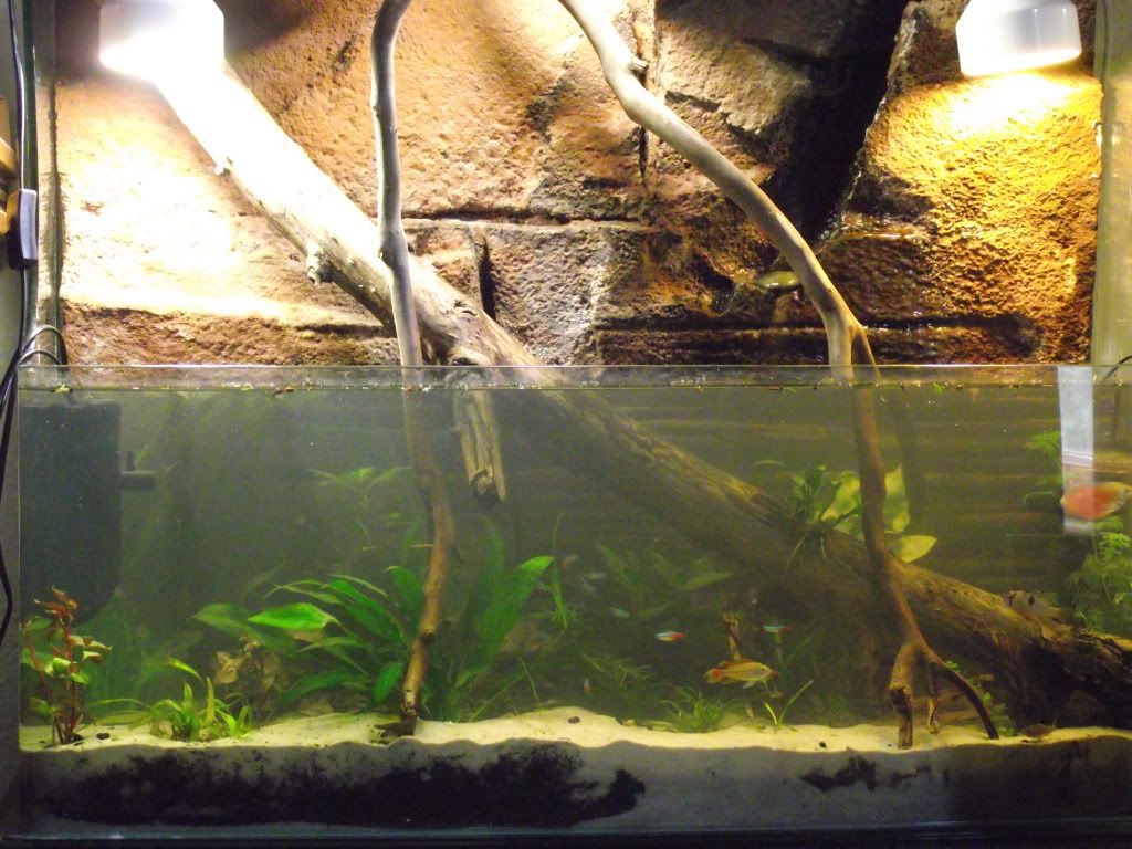 DSCF6591.jpg