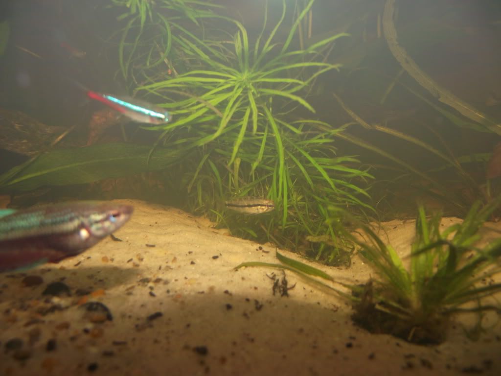 DSCF6628_resize.jpg