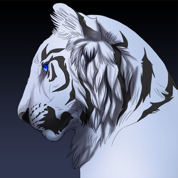 white_tiger_by_akeli-d3httfc_zpswmaidlys.png