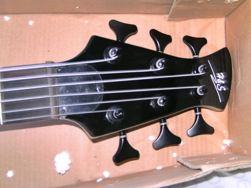 / FT H&S Custom 6 string Bass Meshuggah tuning