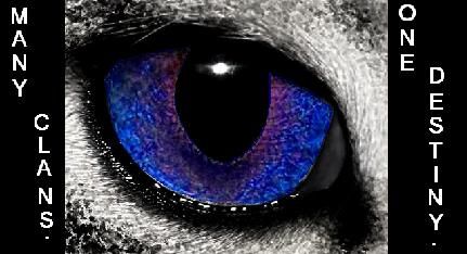 Cats of Many Clans