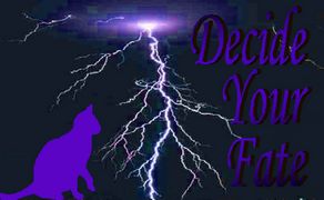BANNER NAME