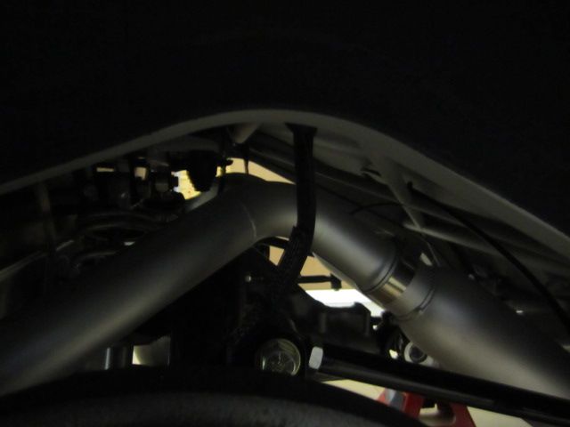Denny2012-1045.jpg