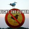 iconomicon_fightthepower.jpg