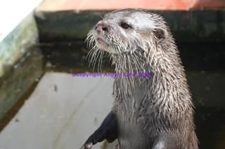 IMAGE: http://i3.photobucket.com/albums/y93/alkady/165b5e84.jpg