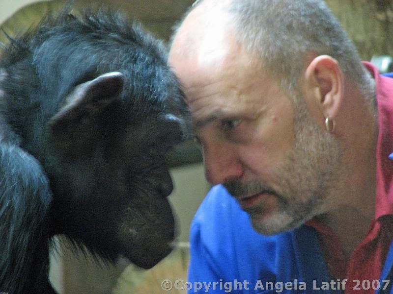 IMAGE: http://i3.photobucket.com/albums/y93/alkady/3459.jpg