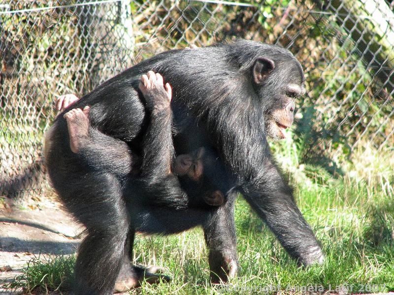 IMAGE: http://i3.photobucket.com/albums/y93/alkady/3575.jpg