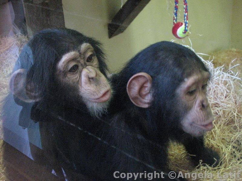 IMAGE: http://i3.photobucket.com/albums/y93/alkady/IMG_0396.jpg