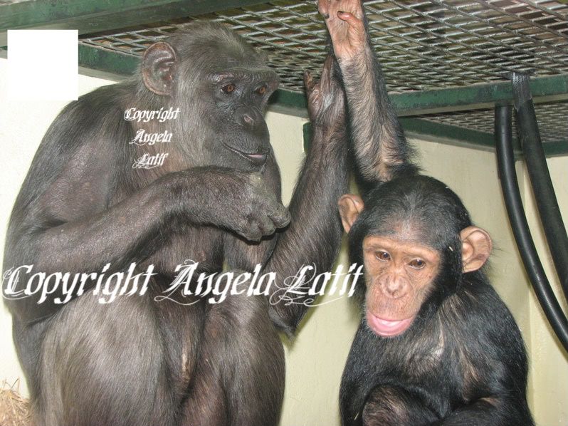 IMAGE: http://i3.photobucket.com/albums/y93/alkady/IMG_3540.jpg