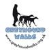 Greyhound Walks Avatar