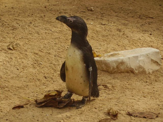 P1250130.jpg