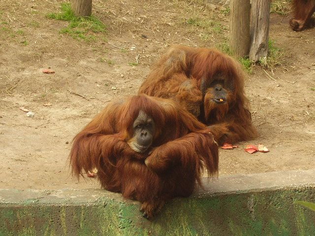 P1250149.jpg