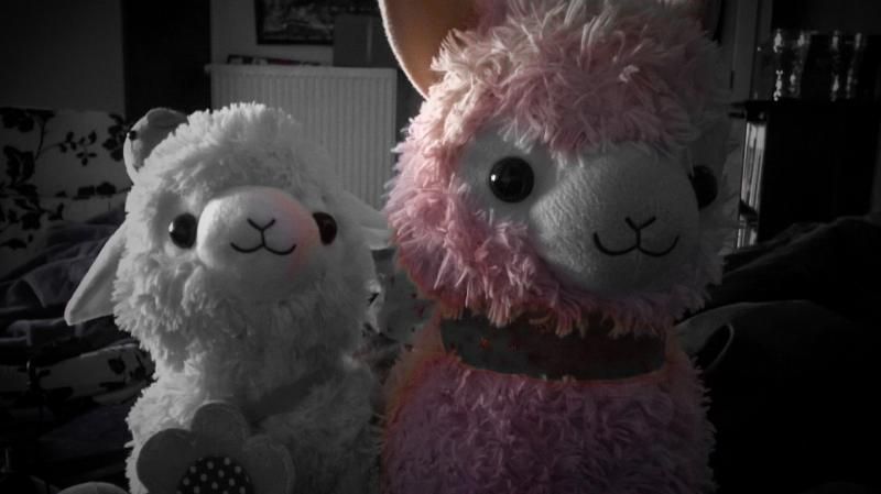 AdobePhotoshopExpress_2122423688c54551ae